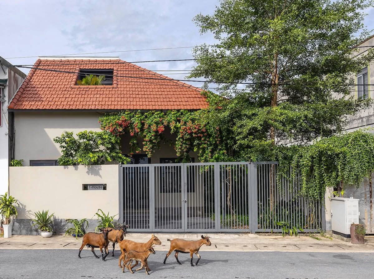 Nhà ‘1 gian’ 130m² tái hiện nếp sống làng quê